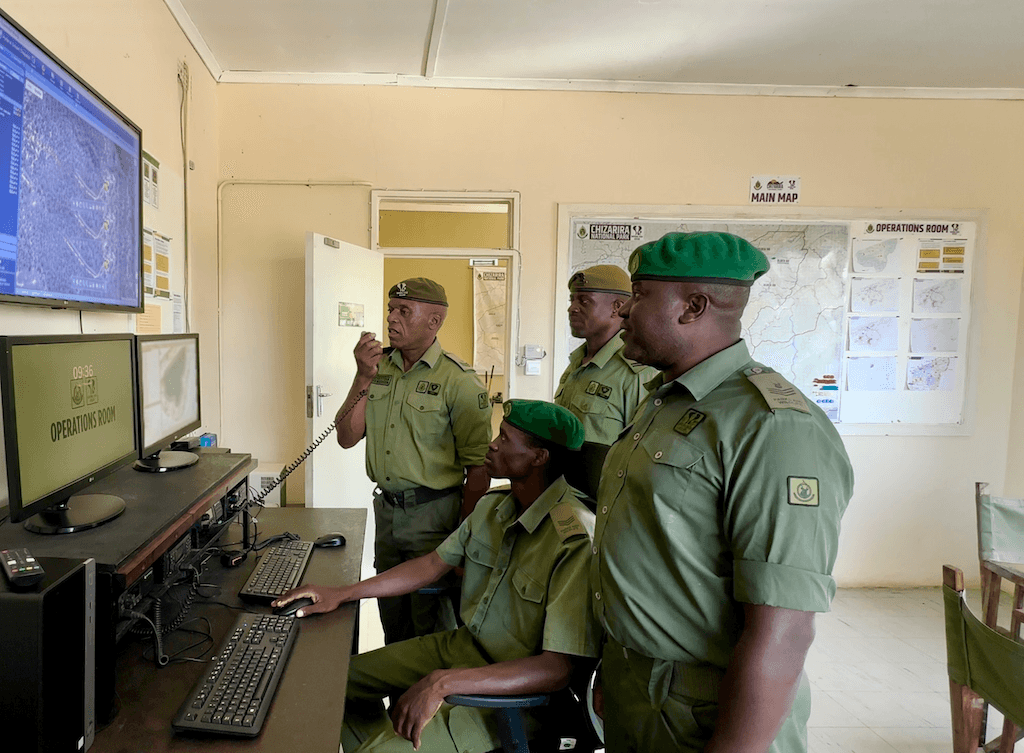 restoring-wildlife-populations-in-africas-most-threatened-national-parks-featured